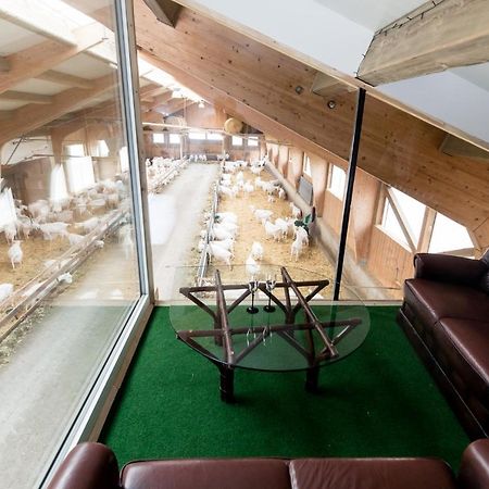 Appartamento Auszeit Am Ziegenhof Nur Fuer Erwachsene Schlierbach Esterno foto
