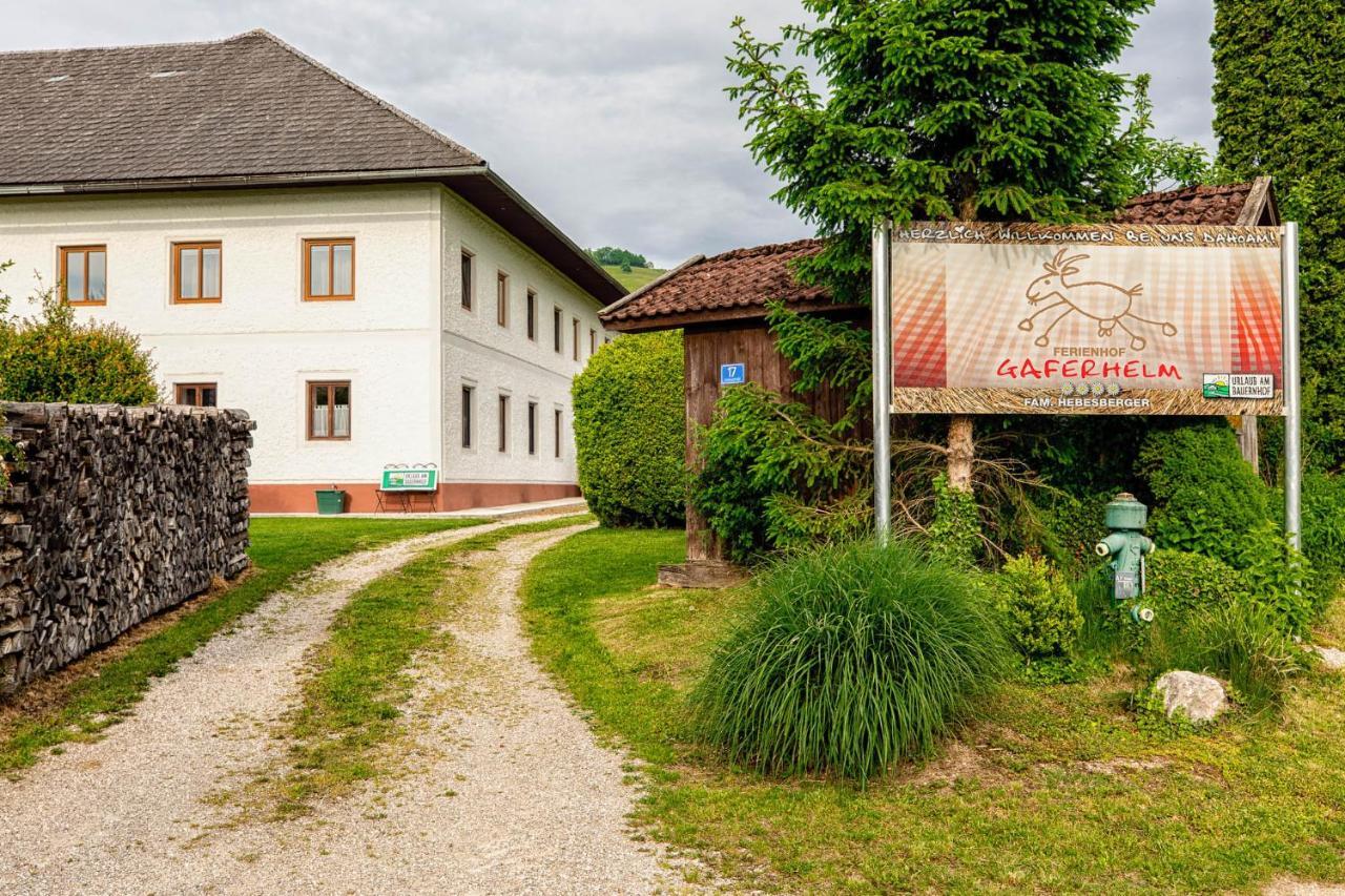 Appartamento Auszeit Am Ziegenhof Nur Fuer Erwachsene Schlierbach Esterno foto